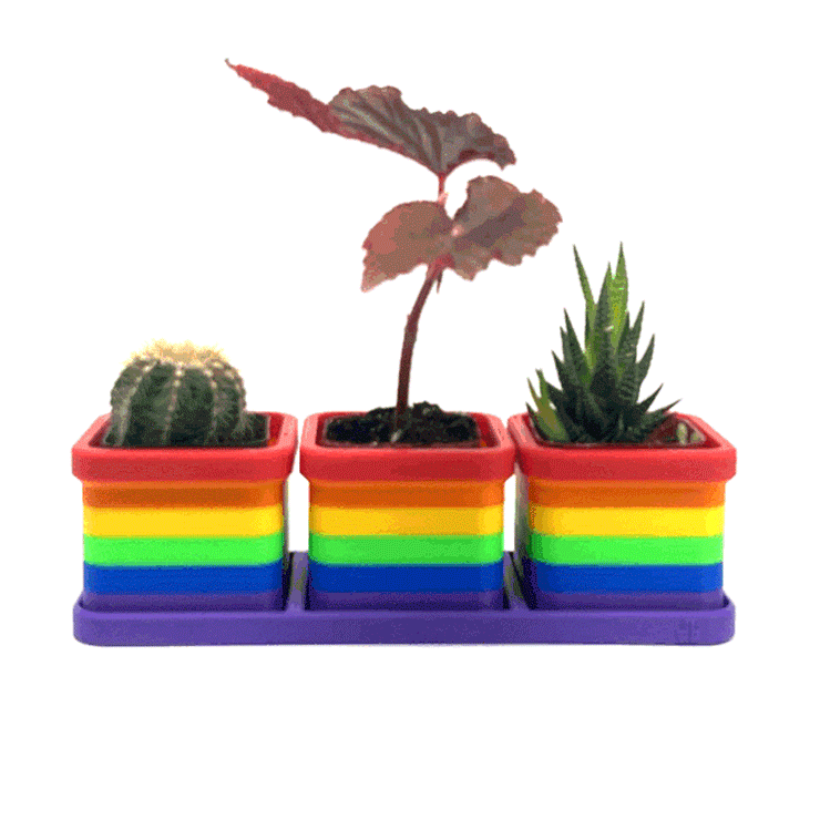 Set of 3 Pride Classic Flag 2 Inch Planters with Drip Tray