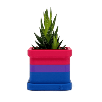 Bisexuality Pride Flag 2 Inch Planter with Drip Tray - Daftboy