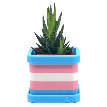 Transgender Pride Flag 2 Inch Planter with Drip Tray - Daftboy