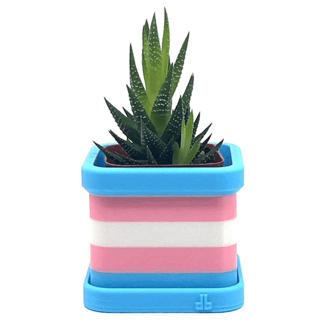 pride plant pot Transgender Pride Flag 2 Inch Planter with Drip Tray Pride Month Accessories by DaftBoy