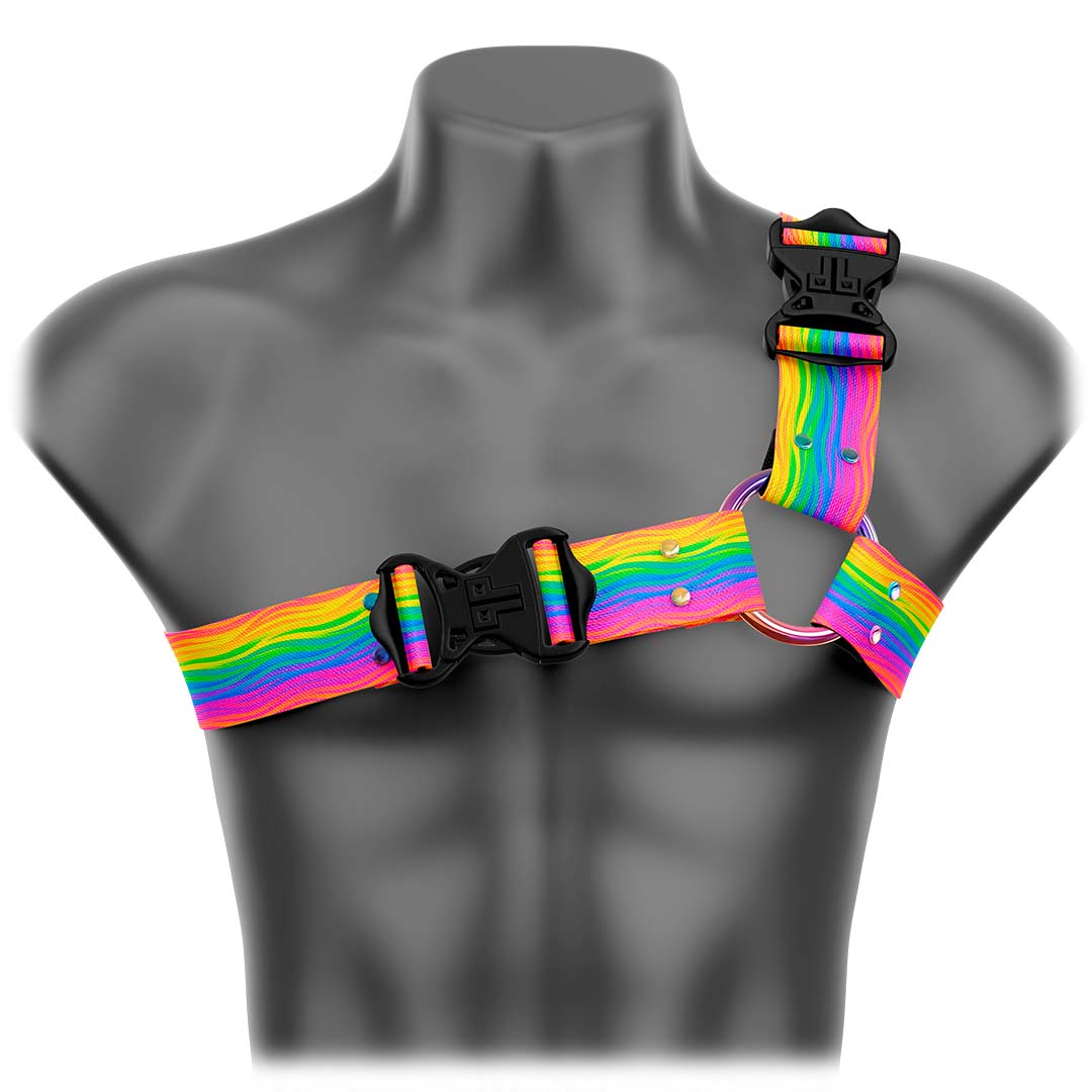 Bring The Rainbow Vibes With Our Asymmetrical Harness! – Daftboy