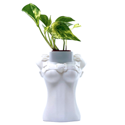 Plant Dom in Straps Statue Stand For 2 Inch Planter