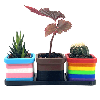 Set of 3 Pride Inclusion Flag 2 Inch Planters with Drip Tray 