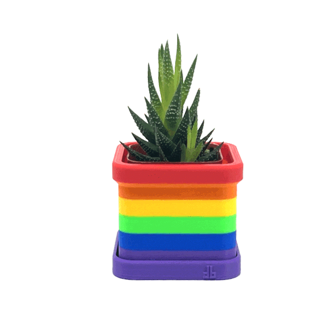 pride plant pot Pride Classic Flag 2 Inch Planter with Drip Tray Pride Month Accessories by DaftBoy