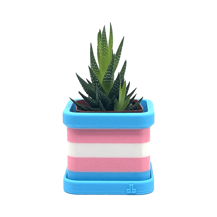 Transgender Pride Flag 2 Inch Planter with Drip Tray