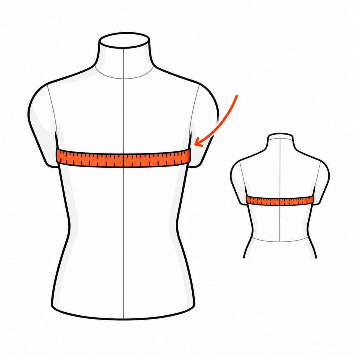 Where to measure your chest for a plus size harness: around the fullest part of the chest, just under the armpits, front and back