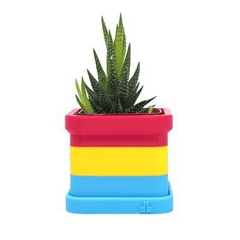 Pansexuality Pride Flag 2 Inch Planter with Drip Tray - Daftboy