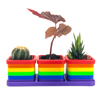 Set of 3 Pride Classic Flag 2 Inch Planters with Drip Tray - Daftboy