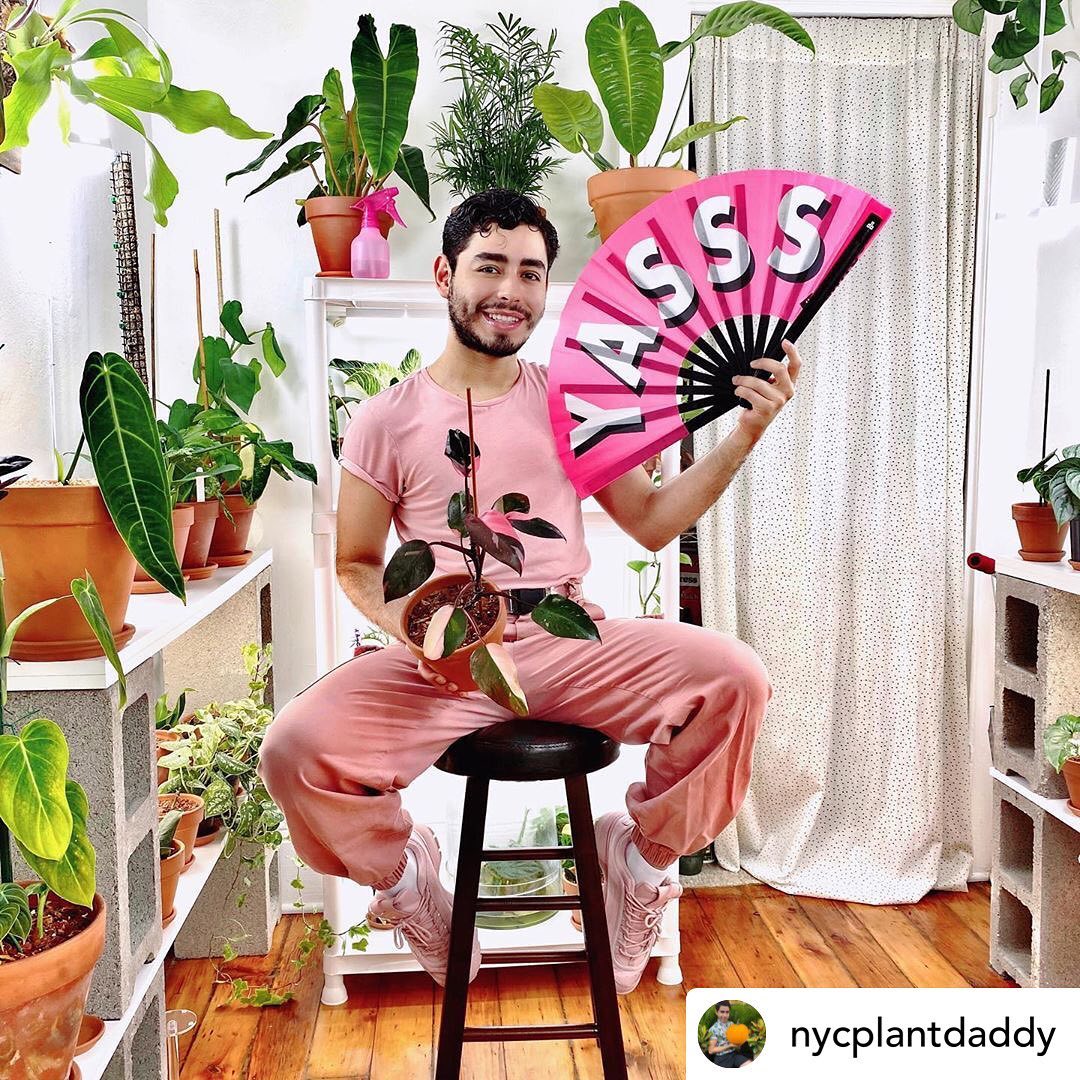 Creator @nycplantdaddy holding a pink Daftboy YASSS clack fan